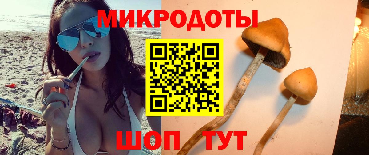 Галлюциногенные грибы ЛСД  Вход с VPN  Муром  Галлюциногенные грибы Psilocybe 